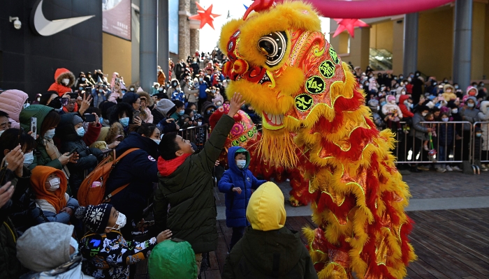 Members of a lion dance troupe perform in a mall in Beijing on the fifth day of Lunar New Year. AFP