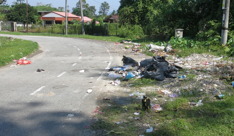 一小撮居民乱丢垃圾，造成非法垃圾堆问题无法解决。