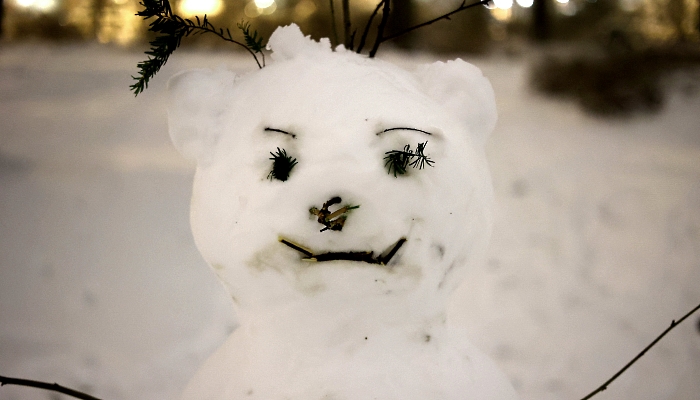 A snowman in Hamburg, northern Germany. AFP