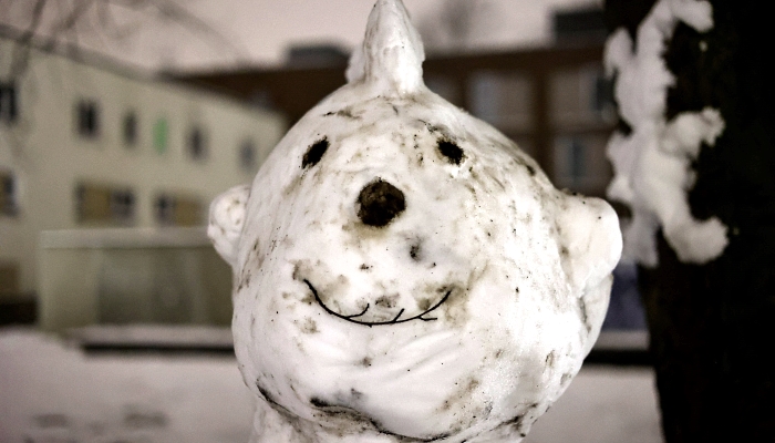 A snowman in Hamburg, northern Germany. AFP