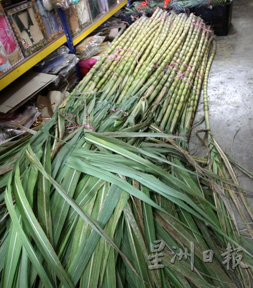 甘蔗是拜天公必備品，但民俗专家李永球说，甘蔗跟天公诞其实没有关系。