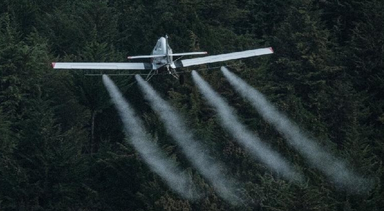 A plane sprays pesticides over locust-covered trees in Meru. AFP