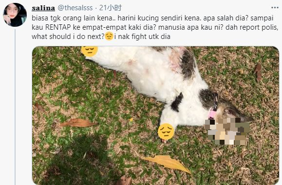 慕莎丽娜发推文公开爱猫惨遭不幸的照片，质问凶手为何对猫下毒手。