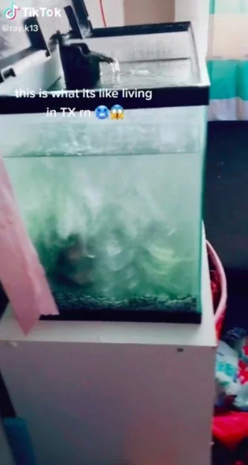 TikTok上也有网友分享自家「鱼缸变冰箱」。（互联网照片）