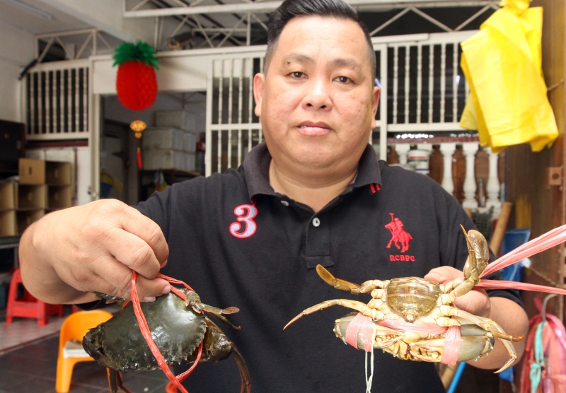 吴国民：螃蟹有性别之分，右手边肚子中间部分呈圆形的则为雌蟹。