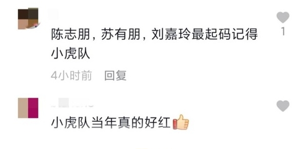 刘嘉玲把小虎队成员陈志朋和苏有朋名字搞混，网民却表示，起码她知道小虎队。