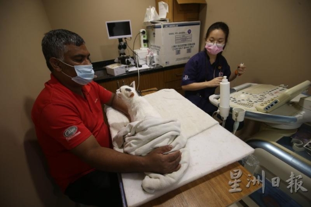 由于病患无法言语，也不受控制，所以兽医往往需要护士或助理协助，才能完成诊断工作。