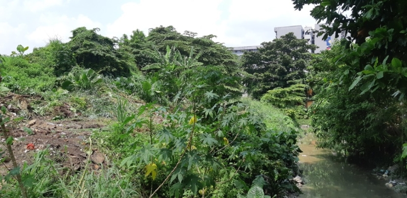 拉吉夫说，卡纳加布兰花园的“迷失的防洪沟”两旁长满杂草，让泥沟变得窄浅，无法负荷大量雨水。