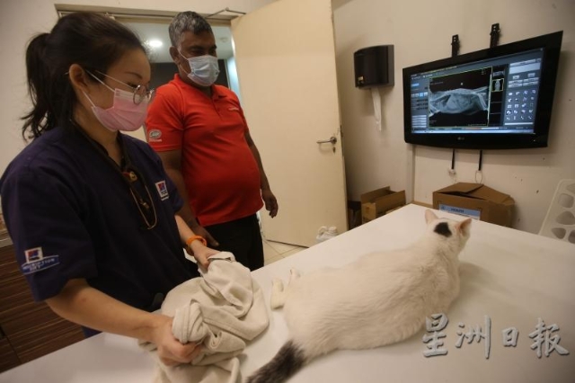 先进的仪器，是现代动物医院或诊所必需的配备。