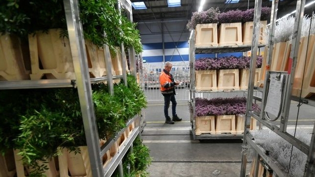 Boutemy is horrified by the 'industrial' flower trade at venues like FloraHolland in the Netherlands. AFP