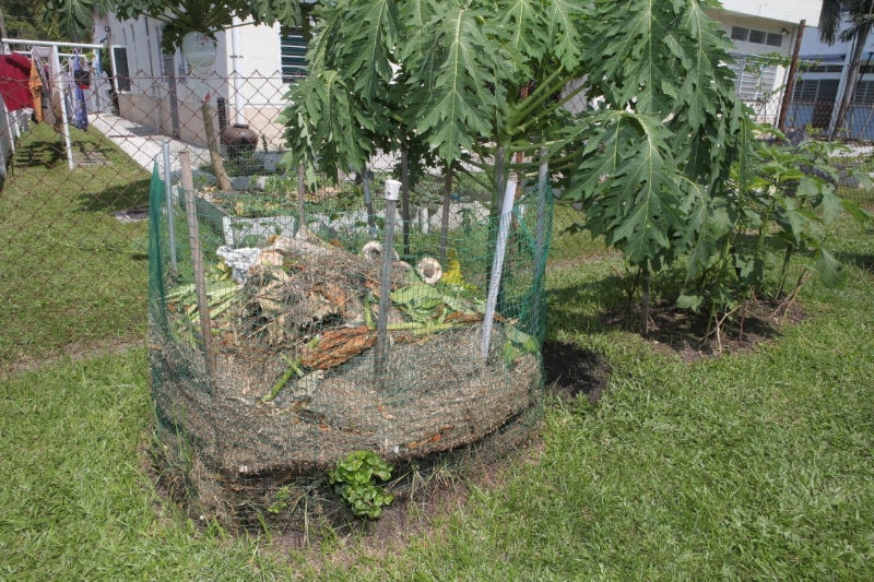 陈锦标夫妇把掉落的树杆和叶子放在堆肥区，让植物慢慢腐化后变成肥料，再为菜园里蔬果的施肥。
