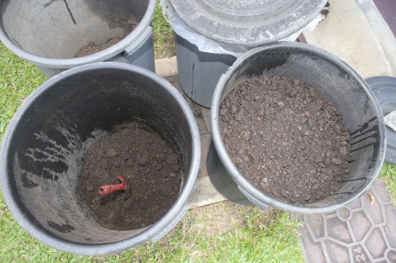 经过一段日子的累积后，小菜园里堆积的肥料收获满满。