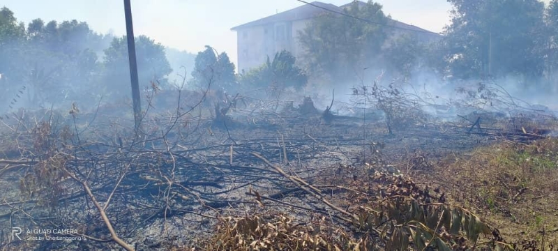 居民的行为，导致有两英亩的山林被烧成焦土。