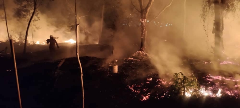 有居民涉嫌在半夜烧火放林开垦农地，连累消拯员漏夜灭火。