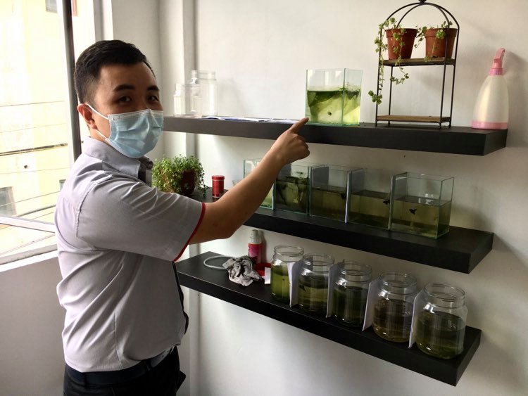 吴哲延表示，在阳光直接照射下容器内容易生藻，所以建议使用专业水草灯养殖，水草造景者都在经历抗藻的人生。