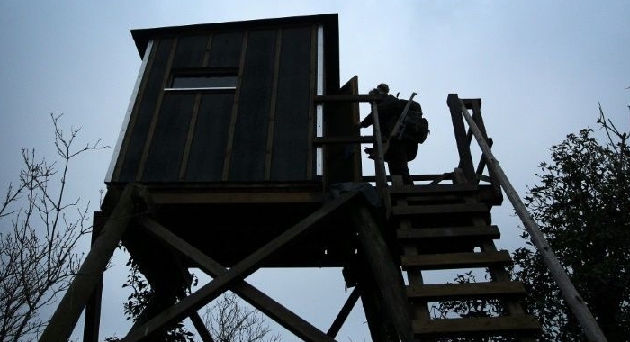 Reis climbs up to a hunting lookout in Aspisheim, western Germany. AFP