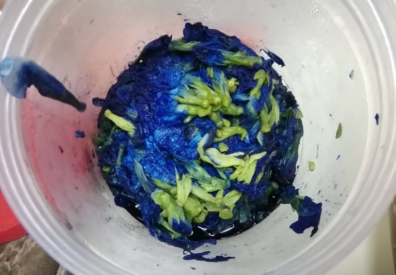 2年前就冰封的蓝花。