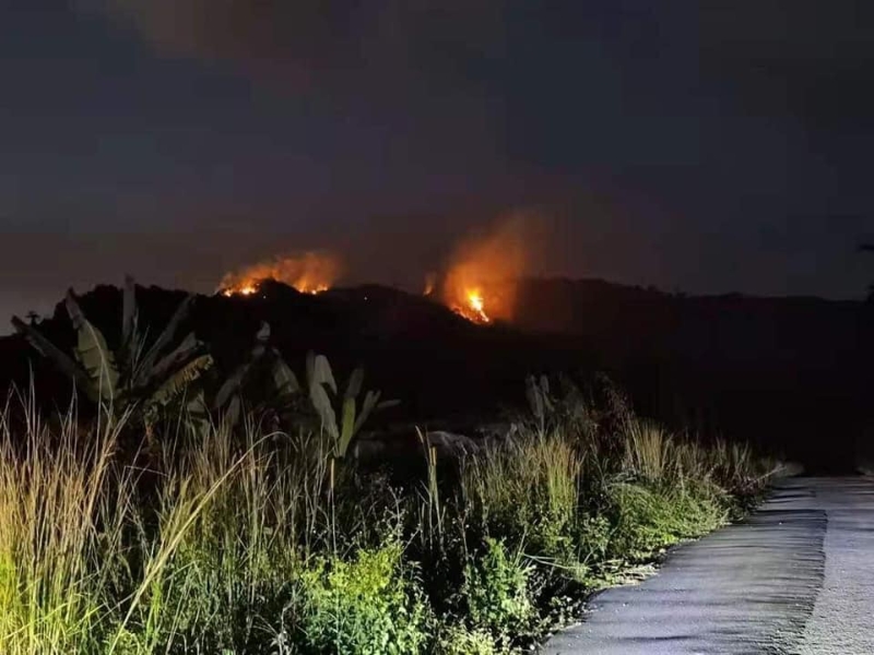 武来岸茅草山于2月27日晚上也发生火患。