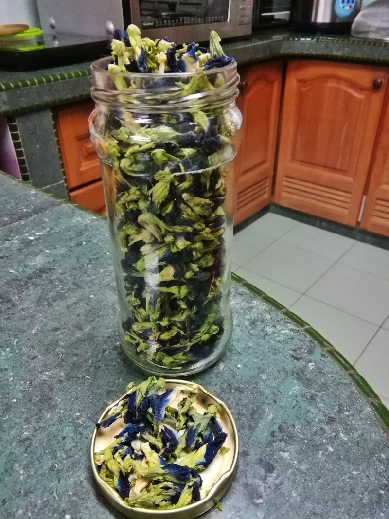 饭后一杯“蓝花茶”的原料。