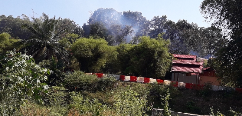 晏斗乡野公园发生火灾，远处可见浓烟弥漫。