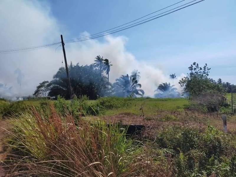 巴生中路和佐汉士迪亚一些林地发生火患，疑有人公开焚烧所为。