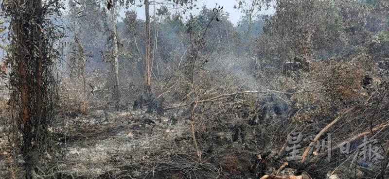大马海事执法机构负责的地区中，已有90%的林火被扑灭。

