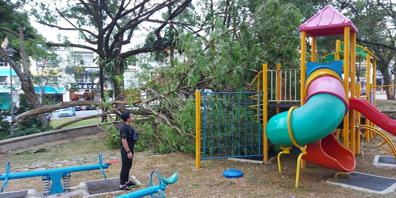 王和顺到灾场了解情况，其中湖畔儿童休闲公园设施也遭到一棵折断大树压中。

