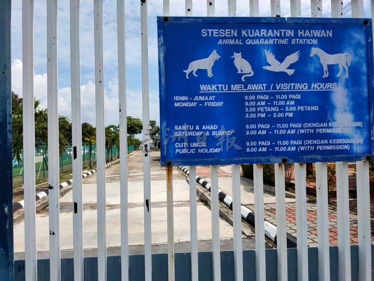 峇都茅动物检疫站开放探视的时间。