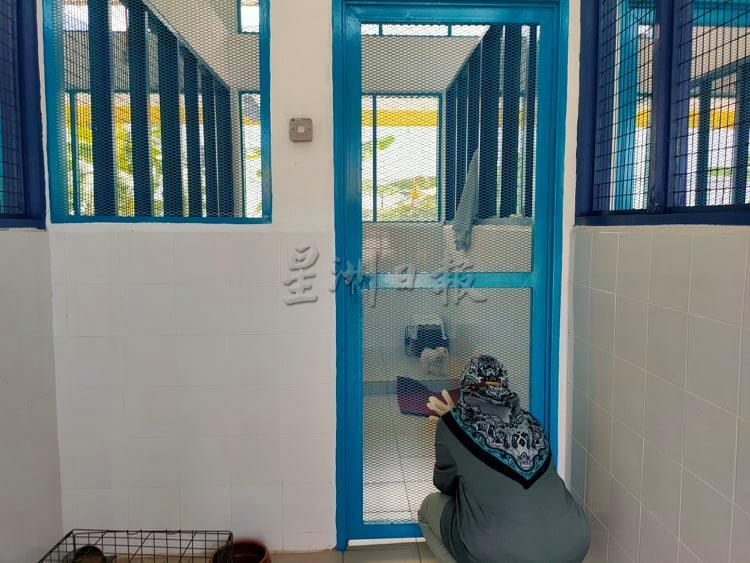 工作人员细心照顾因被走私而暂时扣押在检疫所的幼犬。 工作人员细心照顾因被走私而暂时扣押在检疫所的幼犬。