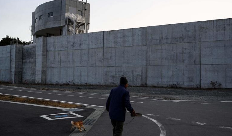 A man walks his dog near a sea wall at Osabe fishing port in Rikuzentakata, Iwate prefecture. AFP