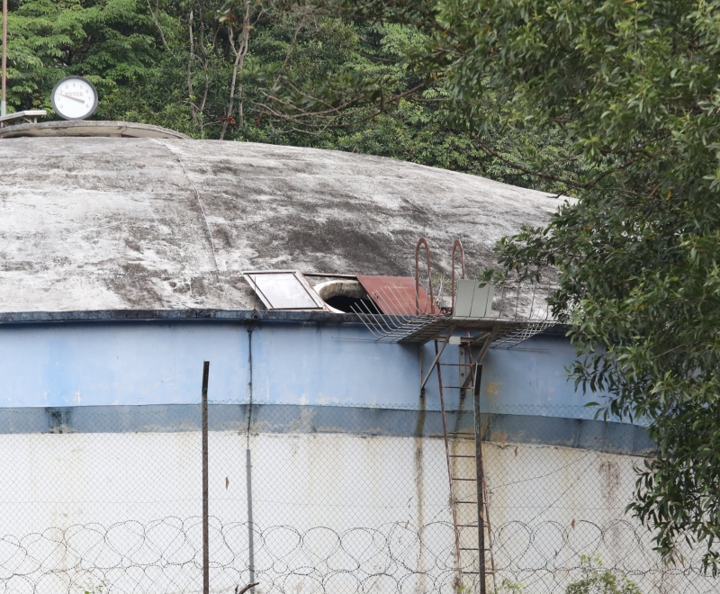 达迈布里居民提醒当局关注毗邻蓄水池的“屋顶”因没有关好，常常有猴子爬进去嬉戏。

