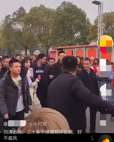 刘涛被曝出街的视频还配文“刘涛出场，20多个保镖前呼后拥，好不威风”，引起网民热议。