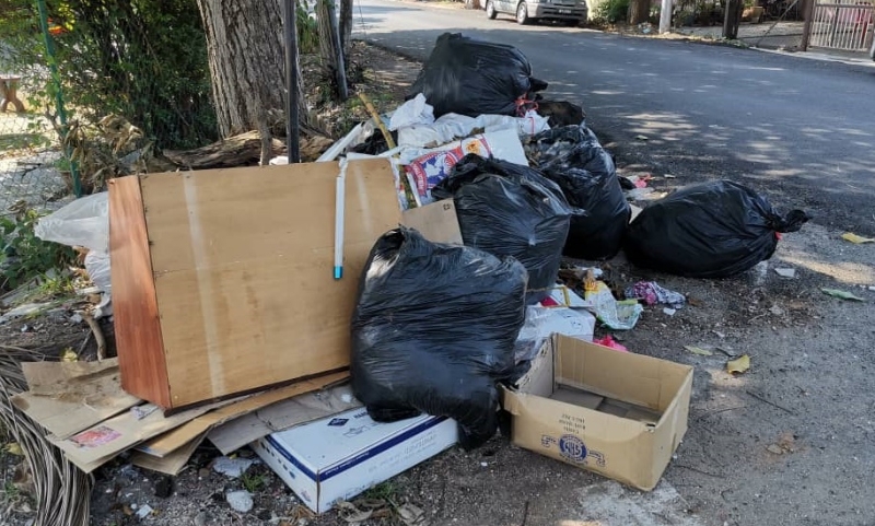  海鲜类残渣和垃圾直接被丢在住宅区路边大树下，引发的腥臭味令居民难以忍受。