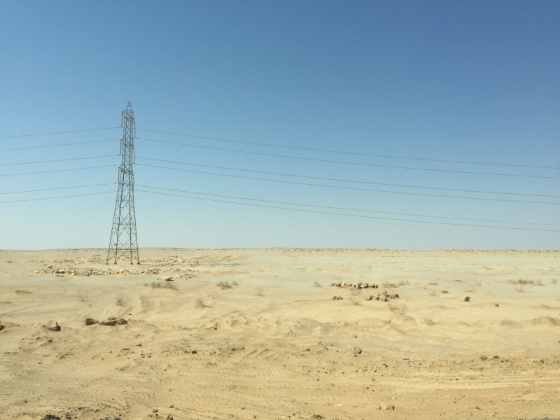 埃及，从涤荡的历史深处走来，根植于北非那片沙与海。