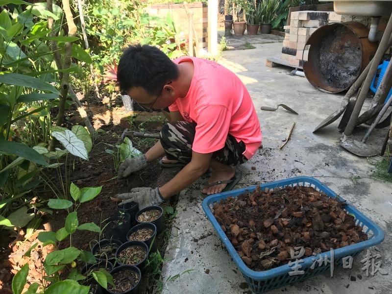 去年一整年都没有做到多少单生意，甘靖康大部分时间在整理庭院及种植花草树木。