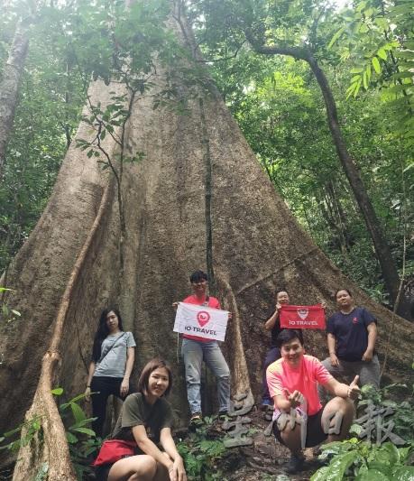 皇家柏隆公园旅游受到一些爱好大自然旅游的游客青睐。(档案照)