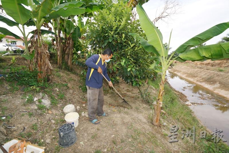 水利灌溉局日前在巴仑河进行清理工作，以解决甘榜巴仑水灾问题，让原本如同丛林的河岸变得焕然一新。