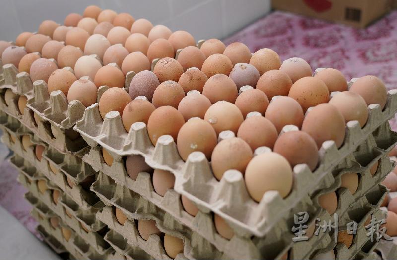 江水记每天制作云吞面，都会用上上千颗鸡蛋。
