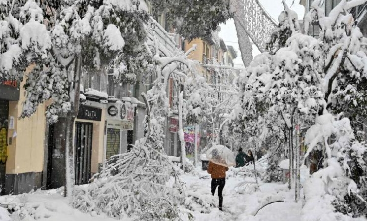 The weather event spelled disaster for Madrid's 1.7 million city-owned trees. AFP