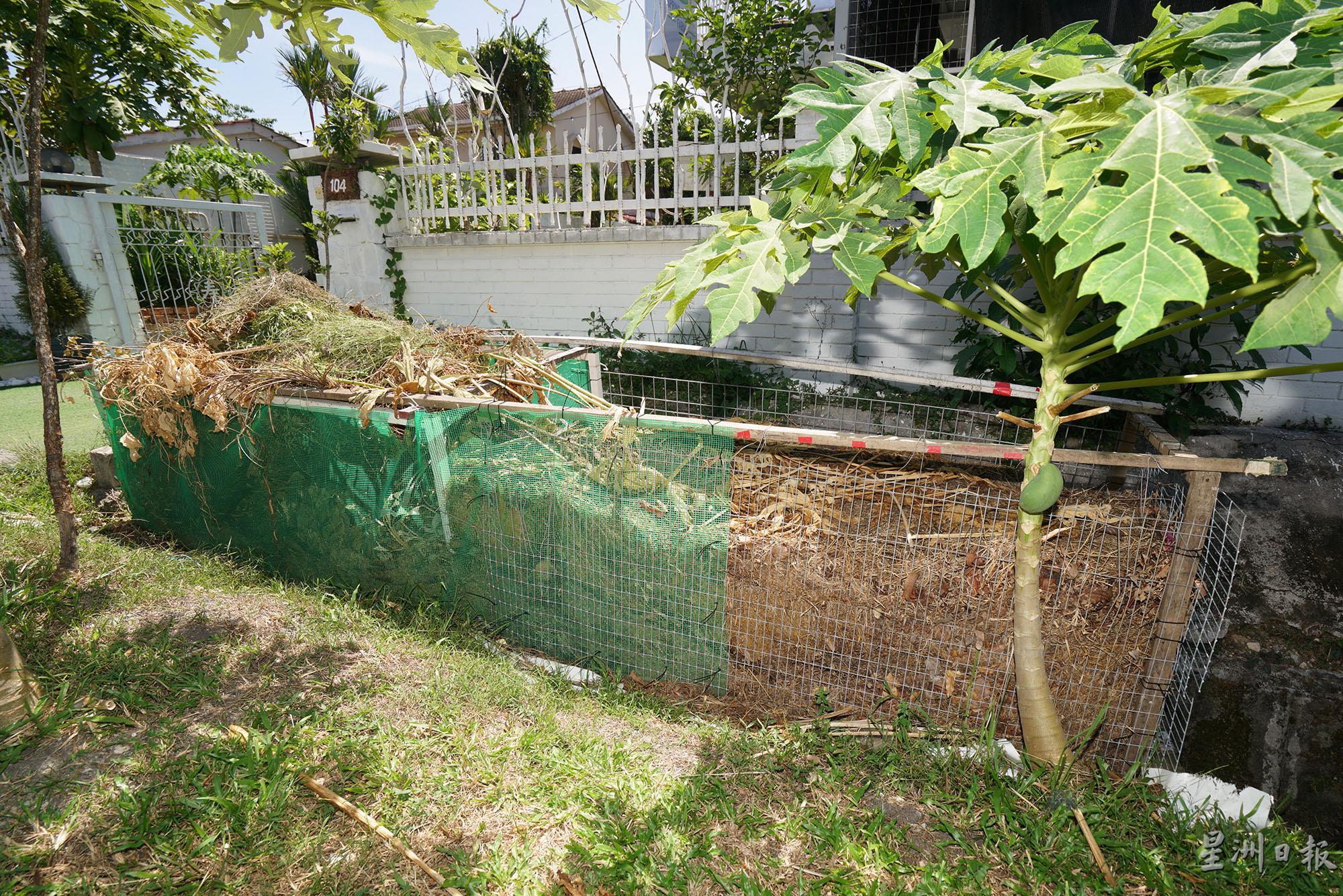 帕特使用铁网围成两个格子用于存放园艺垃圾，待分解后便可作为有机肥。

