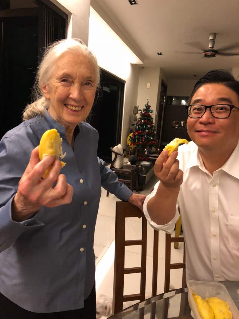 Jane Goodall博士（左）是“根与芽”环保组织的发起人，而林忠彪（右）则是马来西亚“根与芽”的主席。