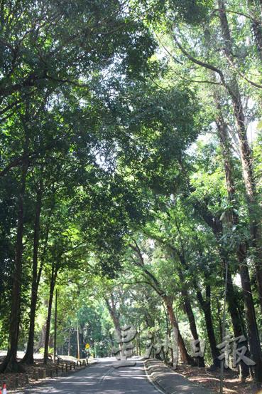 位于吉隆坡甲洞的FRIM是一座人造森林，占地545公顷，是全球热带林业研究领域的佼佼者，如今已被列为联合国教科文组织（UNESCO）世遗初步名单中。
