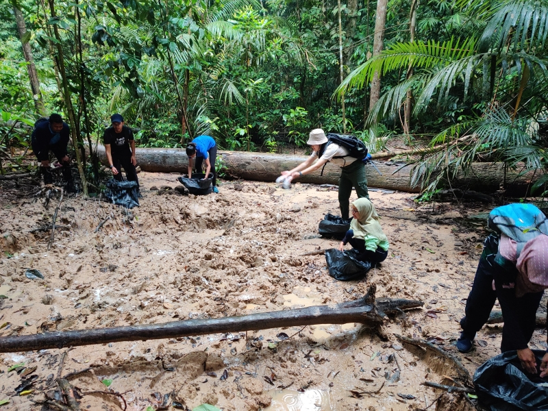 志愿者们进入森林进行环境保护工作。