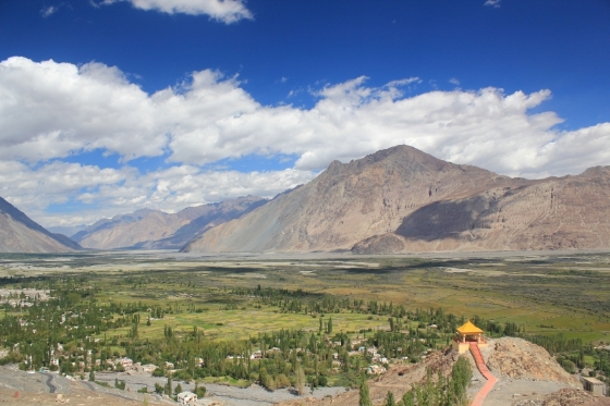 在山上的藏族寺庙俯瞰努布拉河谷的绿洲，那是怒放的绿与蓝啊。