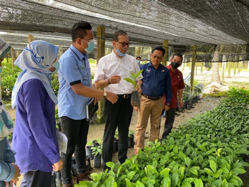 三苏巴里(右三)在种植中心聆听官员汇报讲解。