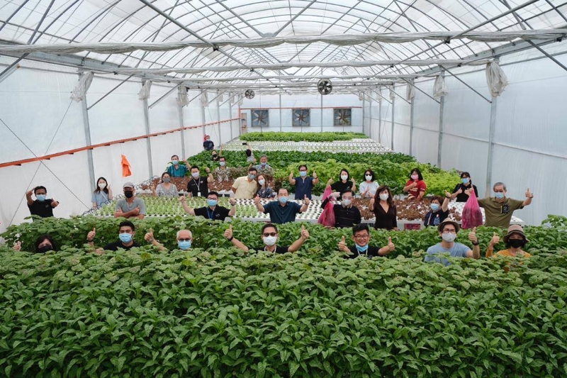 陈前达（左四）和黄柏扬（左五）携手发展环保型农场，提倡水培蔬菜种植。


