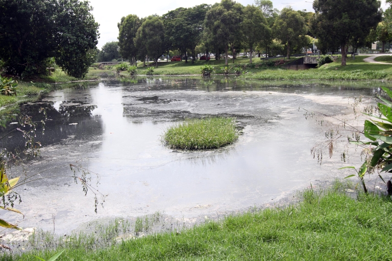 
由于防洪池已飘臭许久，引起当地居民许多困扰，市政厅为此将在两周后安排清理工作，以还愿乾净的防洪池。