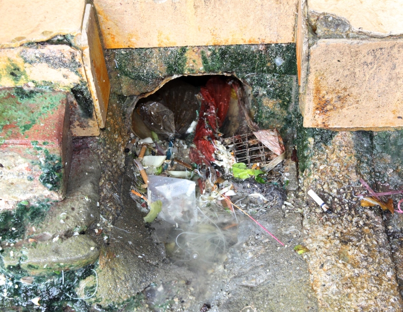 沟渠洞口可看到不少囤积的食物残渣。