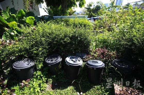 民众可以把厨余放进塑料桶，让志工进行堆肥。