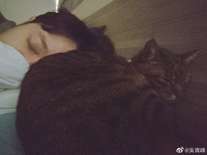 爱猫陪睡让青峰得到一些温暖，心安地说：“幸好你还在身边，让我靠一下取暖。”